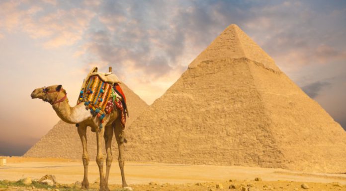 Vakantiegangers vinden opnieuw de weg naar Egypte