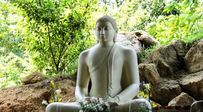Gratis toeristenvisum voor Sri Lanka vanaf 1 oktober