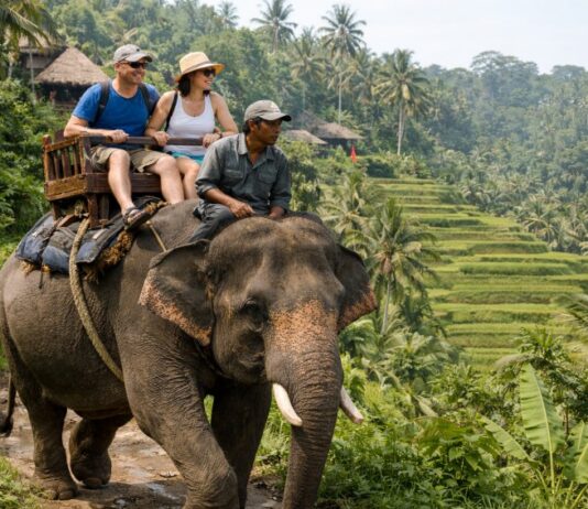 Toeristische olifantenritjes in heel Indonesië voortaan verboden