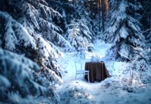 Finland nodigt singles uit op ultieme culinaire blind dates